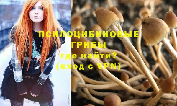 амфетамин Богородск