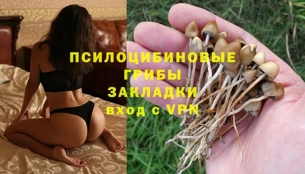 амфетамин Богородск