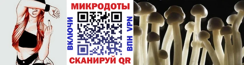 Галлюциногенные грибы мицелий  Купить где  Наро-Фоминск 